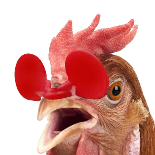 60 Pieces Pinless Chicken Anti-Pecking Chicken Supplies With Bolt Anti-fight Pheasant Poultry Spectacles Blinders 