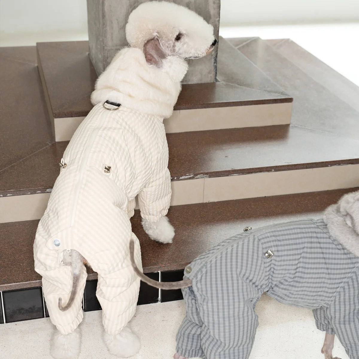 Thick Plaid Down Coat for Dogs in Winter Waterproof Windproof Grey Warm 4-leg Mink Fur Collar Puffer Jacket for Italy Greyhound