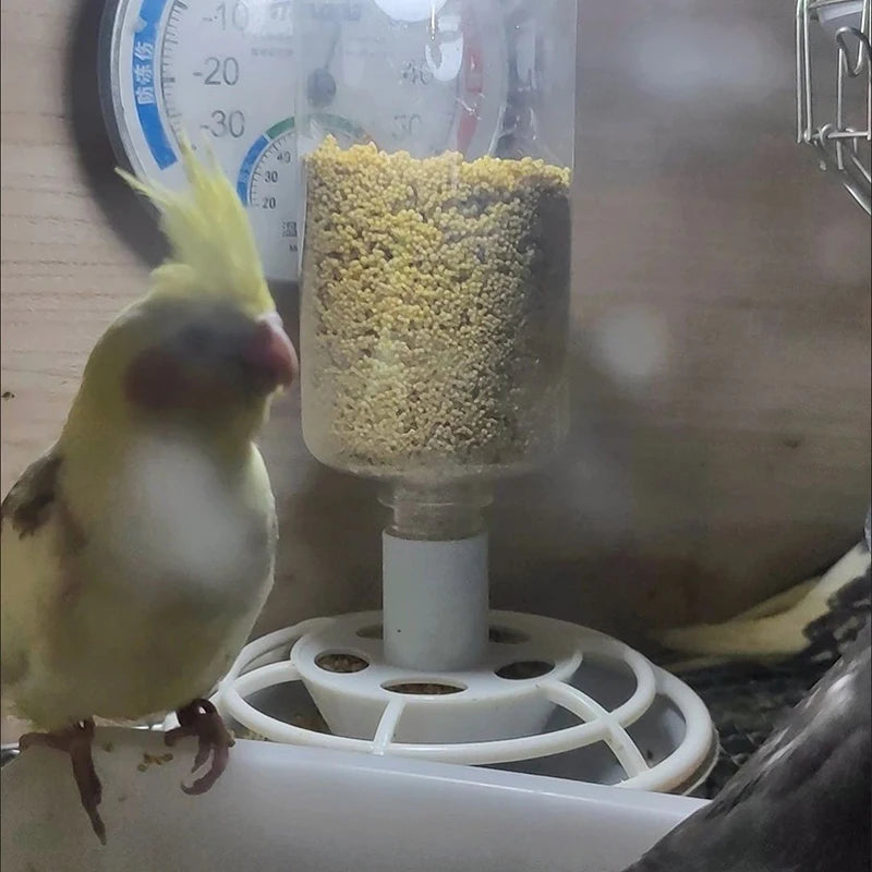 Automatic Bird Feeder with Anti-Scatter Dispenser for Cage with Hanging Hook