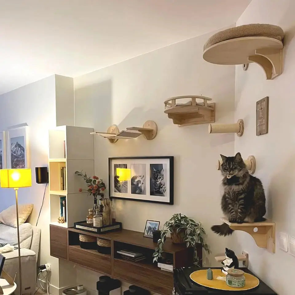 Wall-Mounted Cat Hammock Cradle Cat Climbing Frame Floating Shelf Solid Wood Cats Scratch Posts for Sleeping and Playing Toy