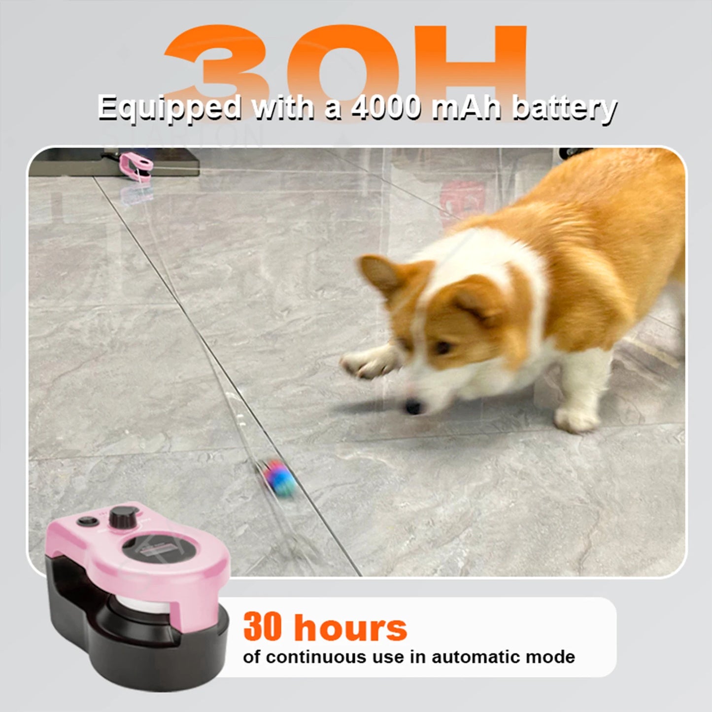 Cat Running Wheel Interactive Cat Toy, Cat Wheel Exerciser Cat Running Treadmill for Indoor Adjustable Speed Simulated Interactive