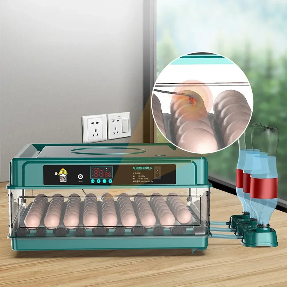 6-12 Eggs Incubator for Chicken Goose Bird Quail Automatic Incubation Equipment Hatchery Incubation Tool US Plug Dual Electric design