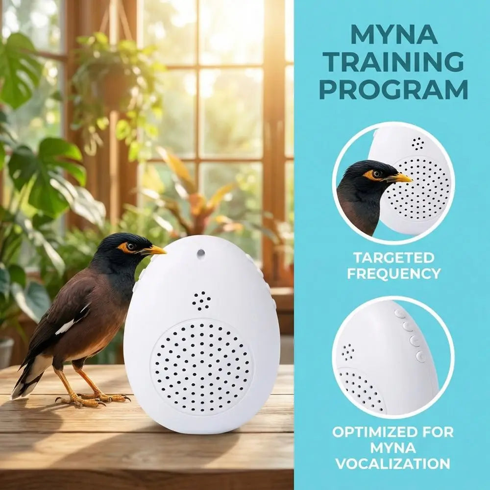 Recording Bird Learning Machine Interactive Timer-Controlled Speech Training Machine Playback Multi Segment Audio Source