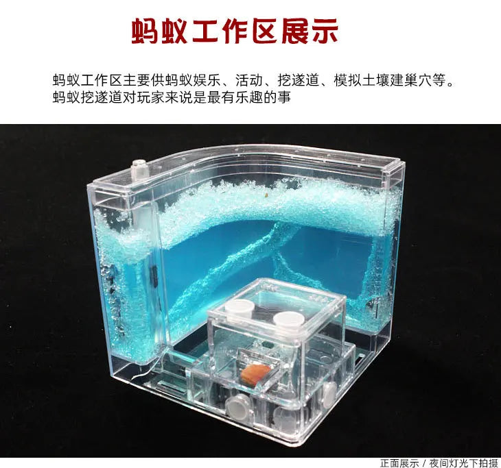 1PCS 3D Insect Acrylic For Ant Farm Observed Expansion Maze House Educational Decor Accessories Look into World Bug Box