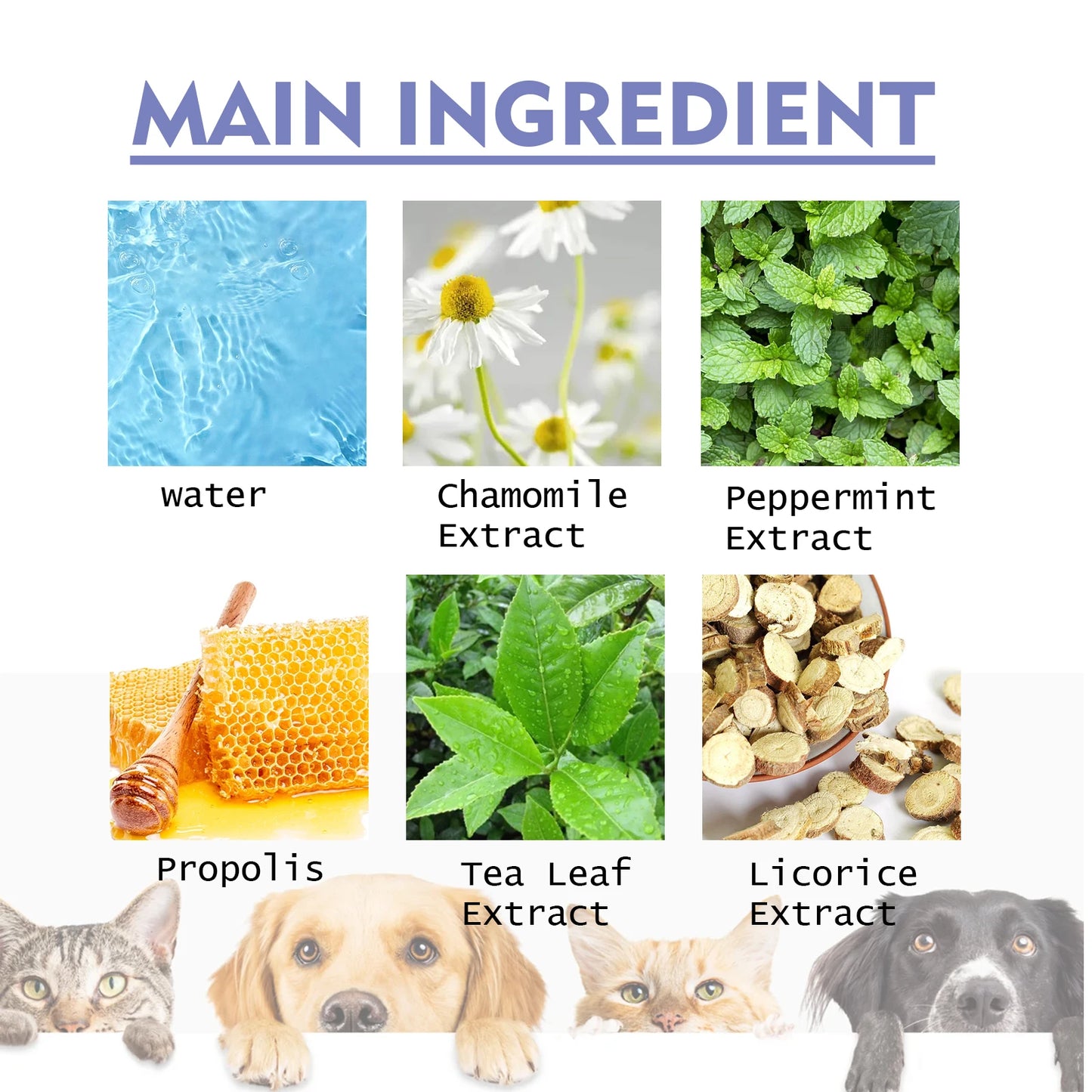 Pet Teeth Cleaning Spray for Cats & Dogs Stain Remover & Deodorizer Spray Fresh Breath Pet Oral Care Tools