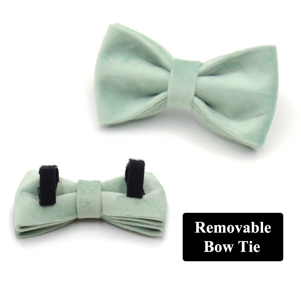 Green Tea Velvet Free Custom Dog Harness Soft Luxury Designer Dog Collar for Small Dogs Personalized Bowtie Collar Lead Poop Bag