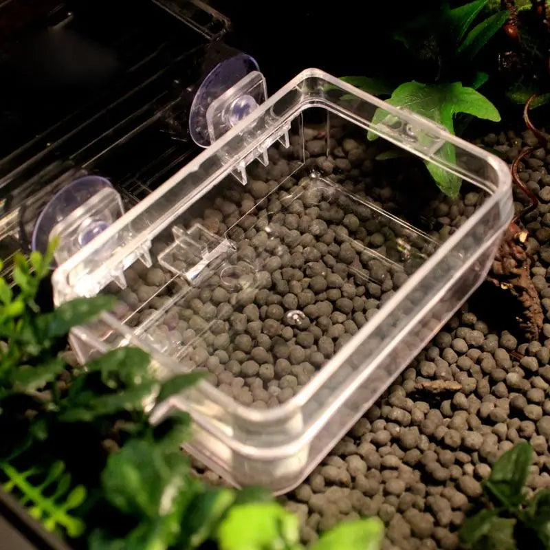 Reptiles Feeder Drinker with Suction Cup Anti-Escape Reptiles Food Bowl For Tortoise Gecko Snakes Chameleon Iguana