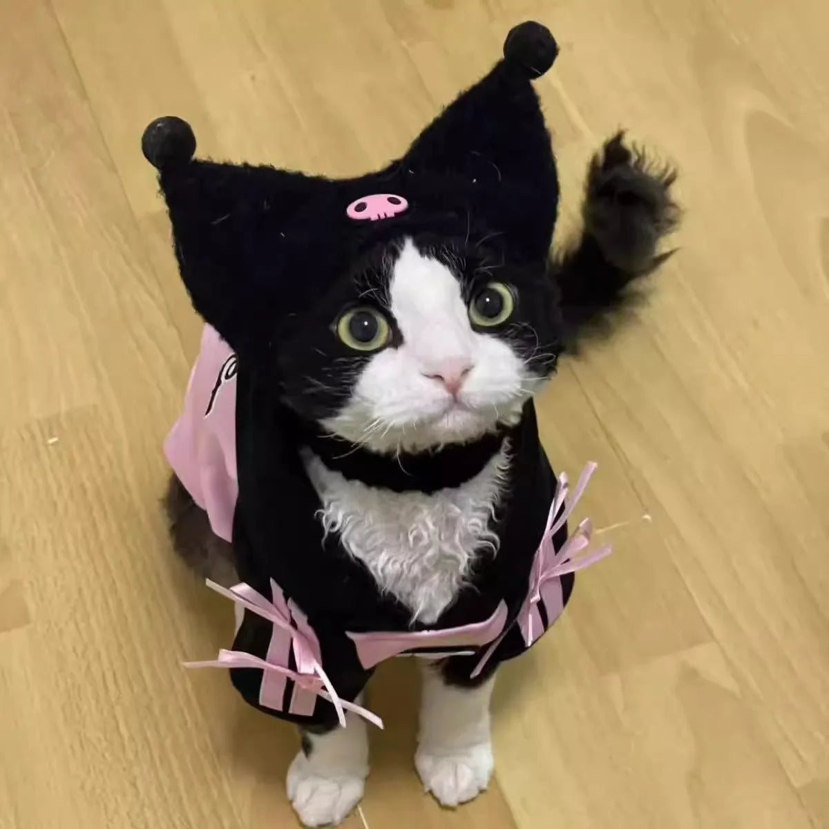 Black And Pink Striped Bowknots, Pink Skull Pet Hoodie, Cat, Dog, Maltese, Yorkshire, Chihuahua Sweet and Cool Pet Clothes