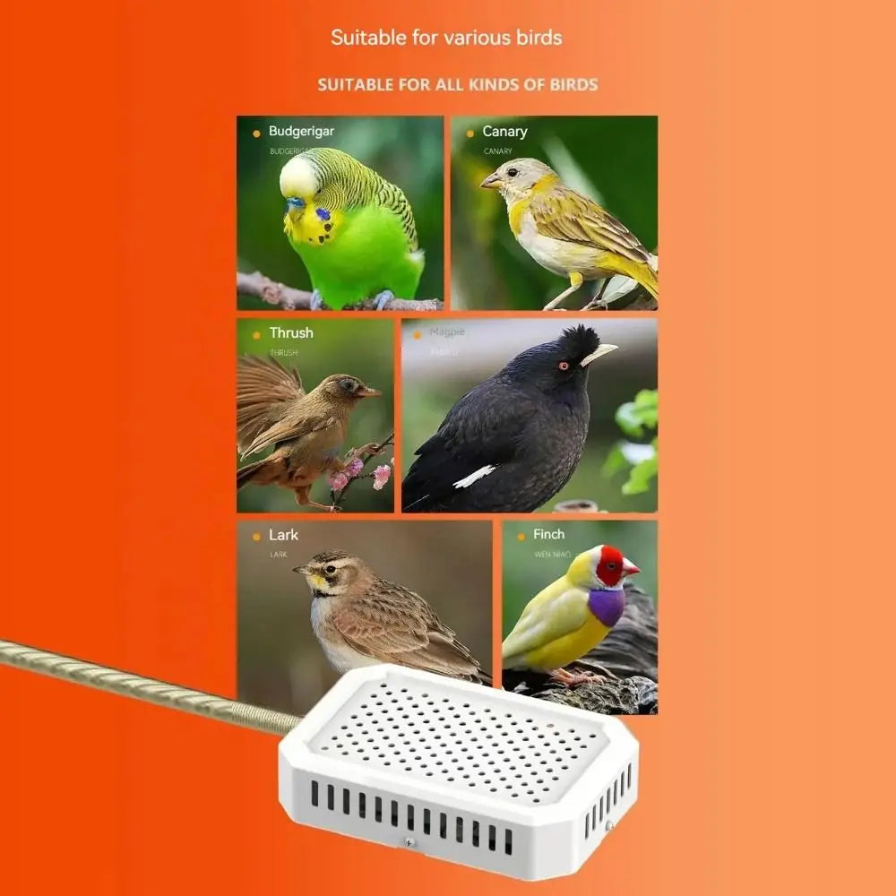 Thermostat Controlled Bird Cage Heater Safe Heating Lightless Design Winter Pet Warmer Quickly Warm Anti Bite
