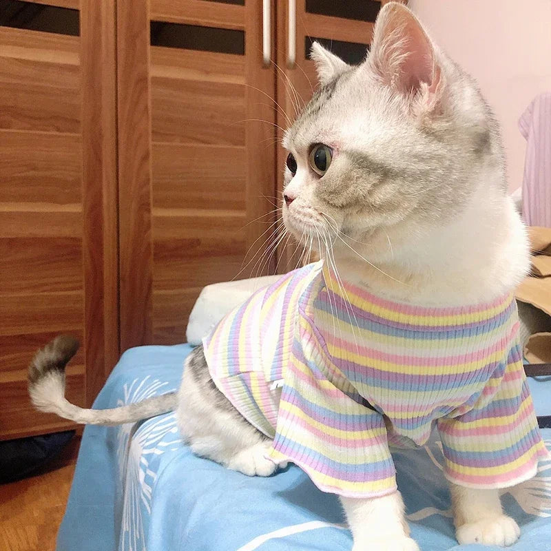 Spring Cotton Pet Cat Clothes for Cats Clothing Sweet Stripe Sphynx Cat Vest Shirt Hairless Cats