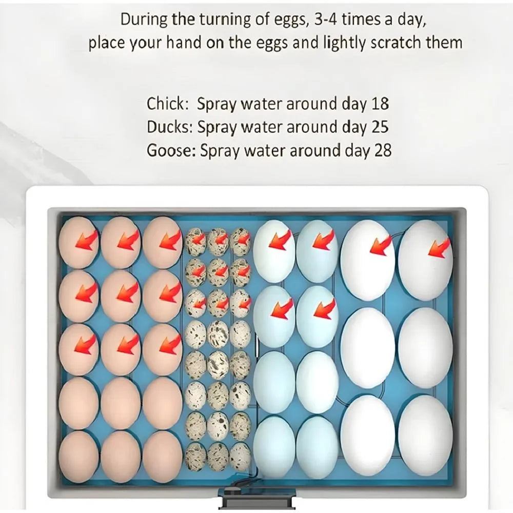 24-hour Thermostatic Small Poultry Egg Incubator Temperature Control Intelligent Biomimetic Waterbed Full Automatic Quiet