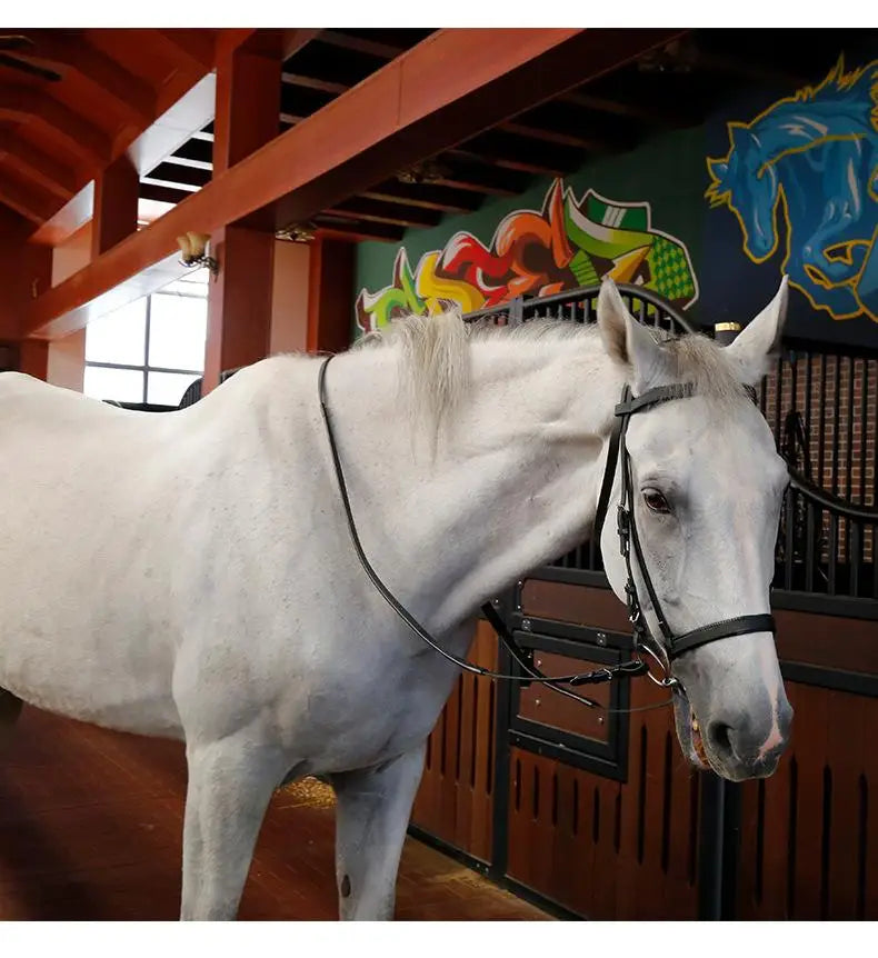 Horse Riding, Horse Training, Controlling Horses, Horse Harnesses, Equestrian Supplies Horse Bridle and Reins