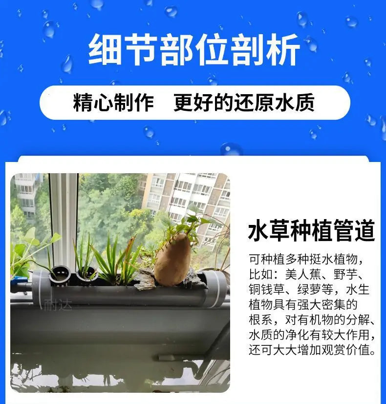 Aquatic and amphibious ecological tank, swamp fish tank, pot, turtle box, turtle tank, household feeding box