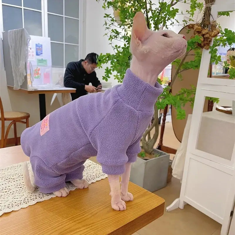 Sphynx cat wearing a soft purple fleece coat, showcasing warmth and style in a cozy indoor setting.