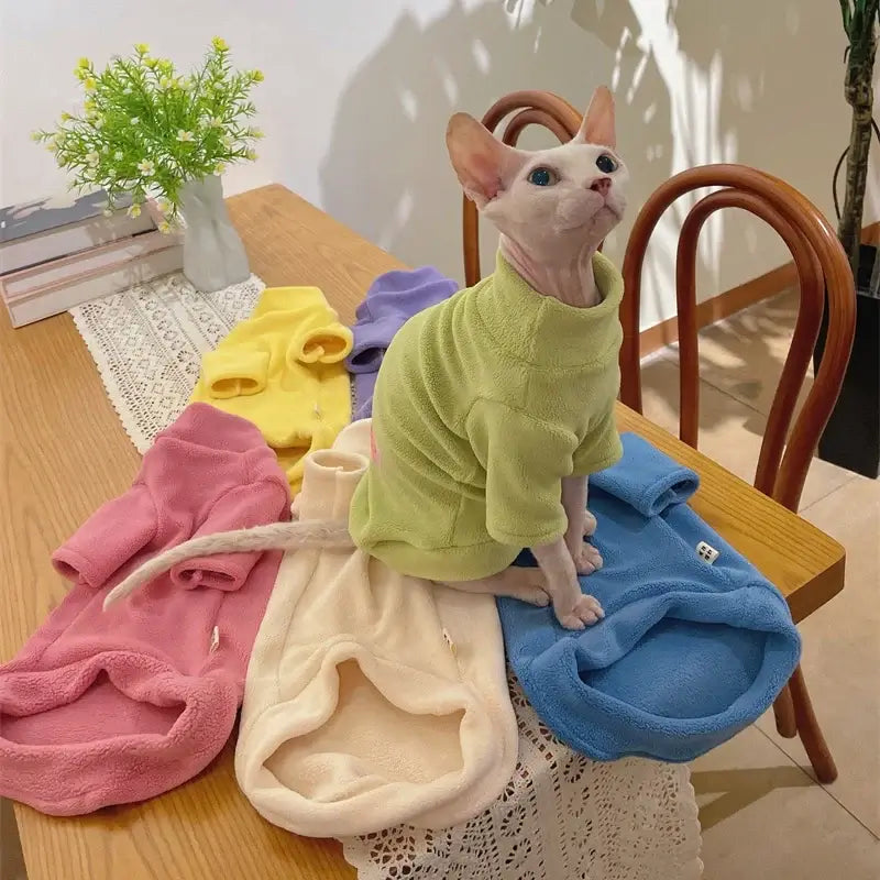 Sphynx cat in green fleece coat sitting on colorful sweatshirts on a table, showcasing warm autumn/winter pet apparel.