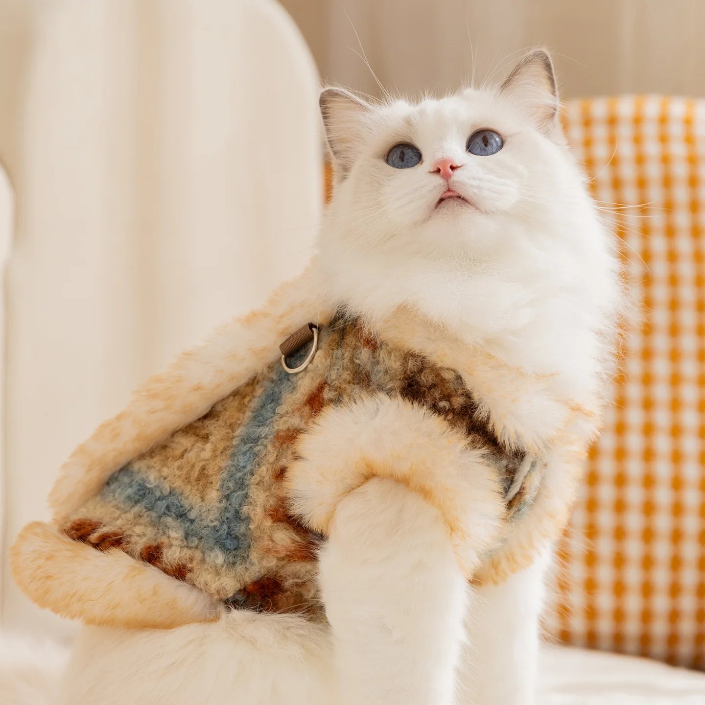 Winter Autumn Warm Clothes Dog Velvet Vest For Small Medium Puppy Bichon Teddy Thicken Pet Warm Clothes New Year Dog Clothing and Cat Clothing