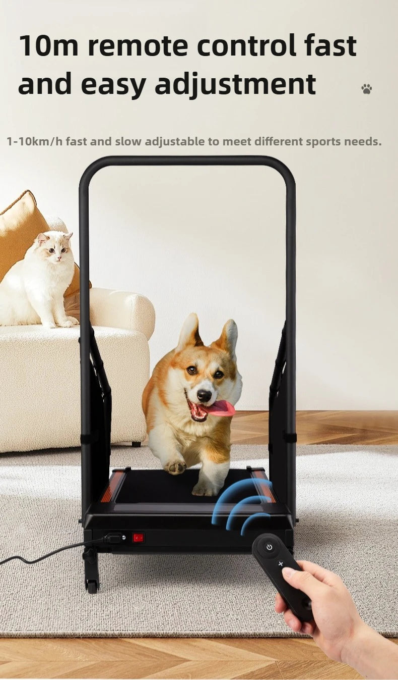 Pet Treadmill Trainer Intelligent Display Dog Running Adjustable Dog Walking Machine Non-slip Pet Trainings Supplies Products