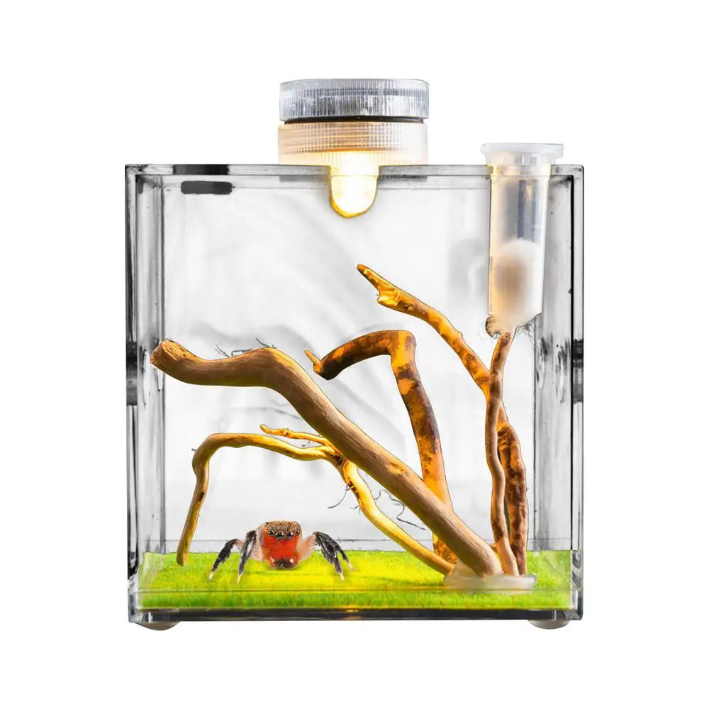 Spider Reptile Insect Feeding Box Reptile Breeding Box Terrarium Accessories Insect Box For Spider Cricket Snail Tarantula