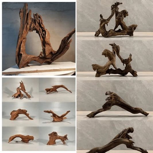 Drift Wood fish tank decoration drift wood terrarium Plants for Natural wood Driftwood décor Aquariums Driftwood fish tank Branch