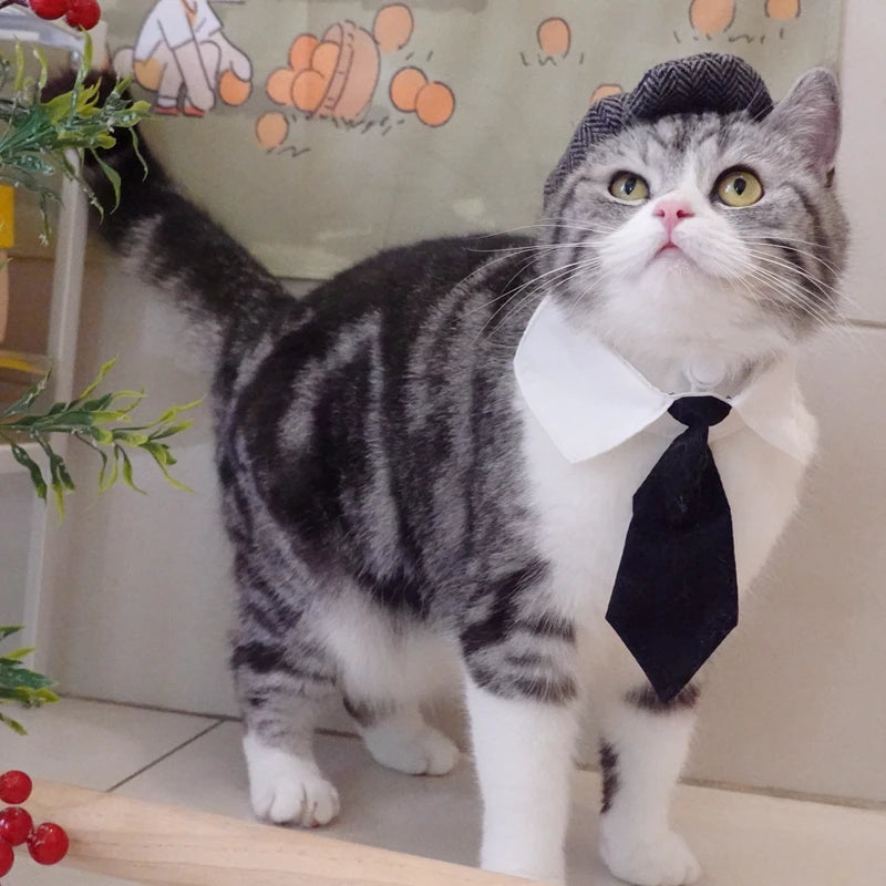 Funny Pet Cat Hat and tie Gentleman's Hat Beret Tie Bathing Blood Gangster Handsome Cosplay Photo Prop Pet Halloween Costume