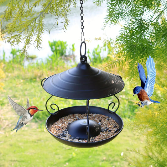 Elegant Black Hanging Bird Feeder - Durable Metal Garden Decor, Attracts Various Birds, Ideal for Outdoor Use