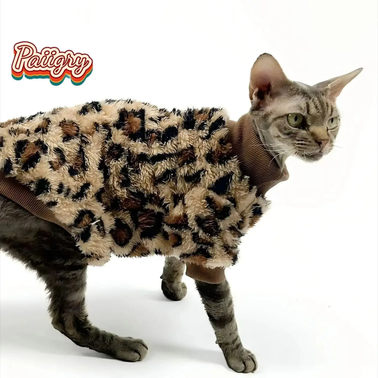 New pet leopard print pattern two-legged clothes cat dog autumn and winter Schnauzer puppy teddy small dog  panda clothes sphinx cat
