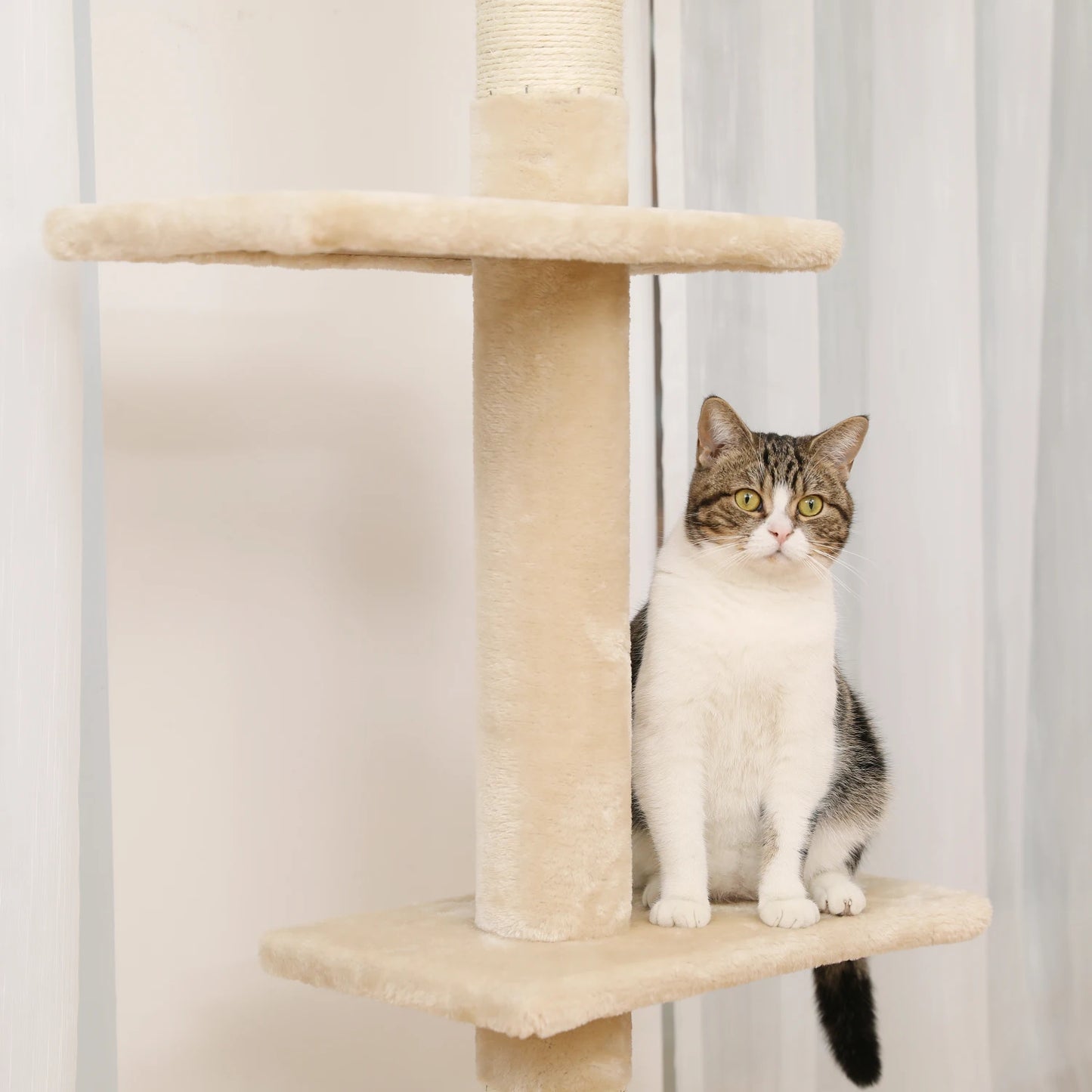 Adjustable Floor-to-Ceiling Vertical Cat Tree Tower Stable Tall Cat Climbing Tree Cat Kittens Cat Toy Suitable for Indoor Cats