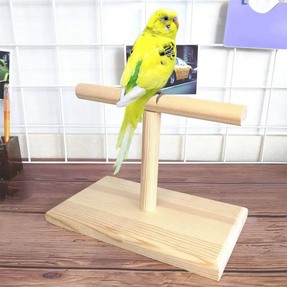 Practical Bird Training Perch Compact Safe Lightweight Bird Training Exercise Stand  Bird Stand Stable
