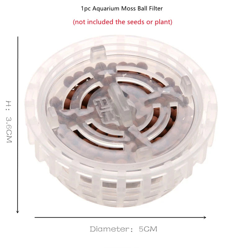 5cm Natural Marine Plant Moss Culture Dish Aquarium Fish Tank Decoration Home Decoration Non Plant