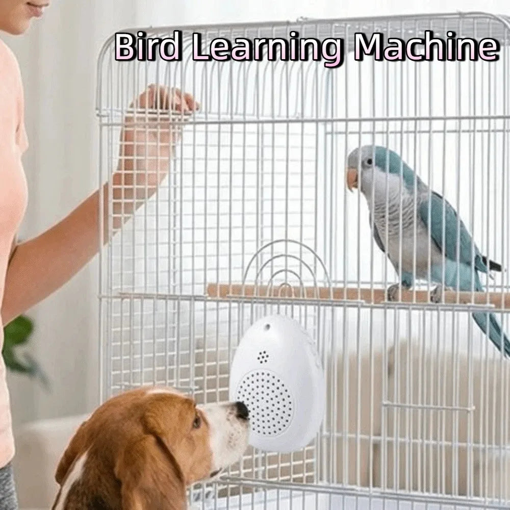 Recording Bird Learning Machine Interactive Timer-Controlled Speech Training Machine Playback Multi Segment Audio Source