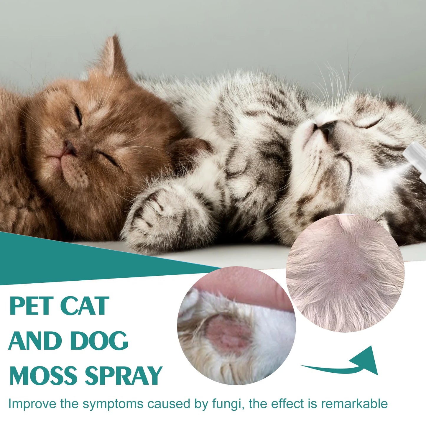 30ml  skin medicine spray for cats and dogs to remove mites