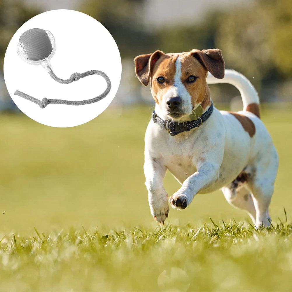 2PC/1PC Cat Interactive Ball Toys Automatic Rolling Ball Rechargeable Self Rotating Ball Fast Rolling Ball for Indoor Cat Kitten