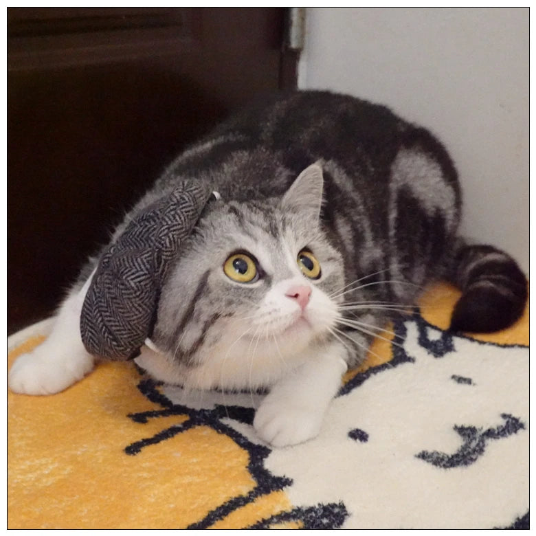 Funny Pet Cat Hat and tie Gentleman's Hat Beret Tie Bathing Blood Gangster Handsome Cosplay Photo Prop Pet Halloween Costume