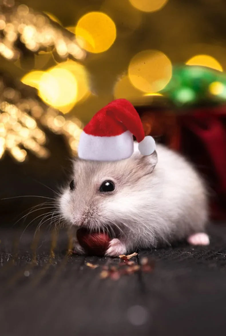 Hamster Guinea Pig Christmas Cap Costume Mini Small Pet Red Hat Xmas Headwear Pet Outfits for Chinchilla Rabbit Hedgehog