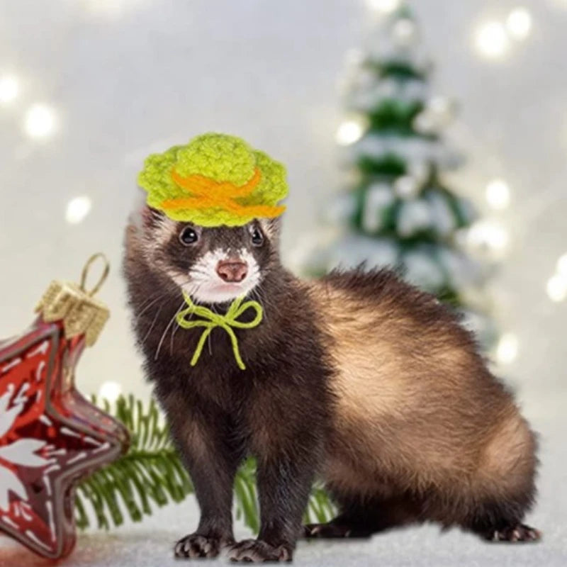 Handmade Knitted Parrot Hat Funny Frog Parrot Hat Small Animal Outfit Suit Adjustable Chin Strap Snake Hat Cute Small Pet Hat