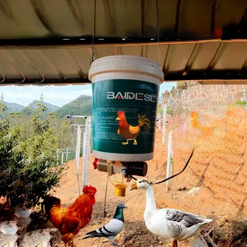 Automatic Chicken Feeder Pigeon Chicken Duck Carrier Pigeon Trough Intelligent Timing Automatic Chicken Feeder Pigeon Supplies