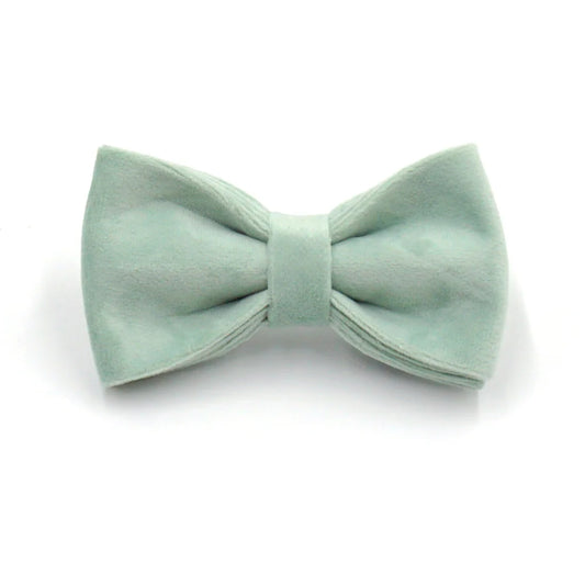Green Tea Velvet Free Custom Dog Harness Soft Luxury Designer Dog Collar for Small Dogs Personalized Bowtie Collar Lead Poop Bag