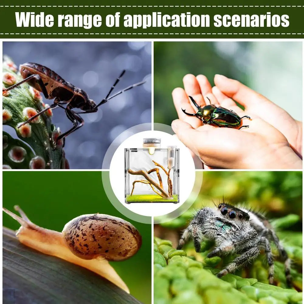 Spider Reptile Insect Feeding Box Reptile Breeding Box Terrarium Accessories Insect Box For Spider Cricket Snail Tarantula