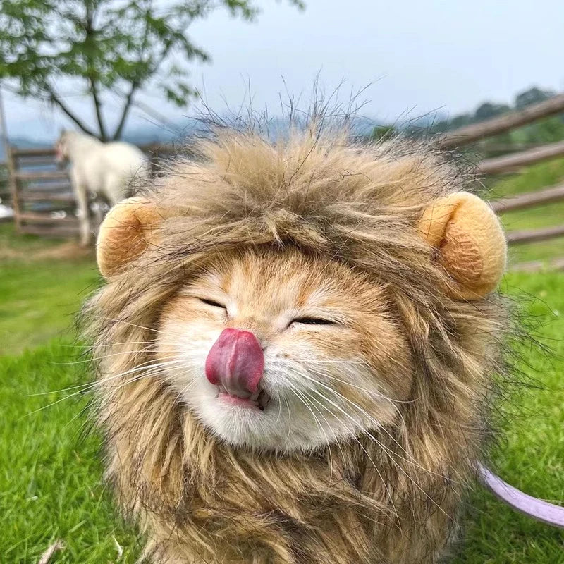 Cat Cosplay Dress Up Pet Hat Lion Mane for Cat Puppy Lion Wig Costume Party Decoration Halloween Christmas Cat Pet Supplies