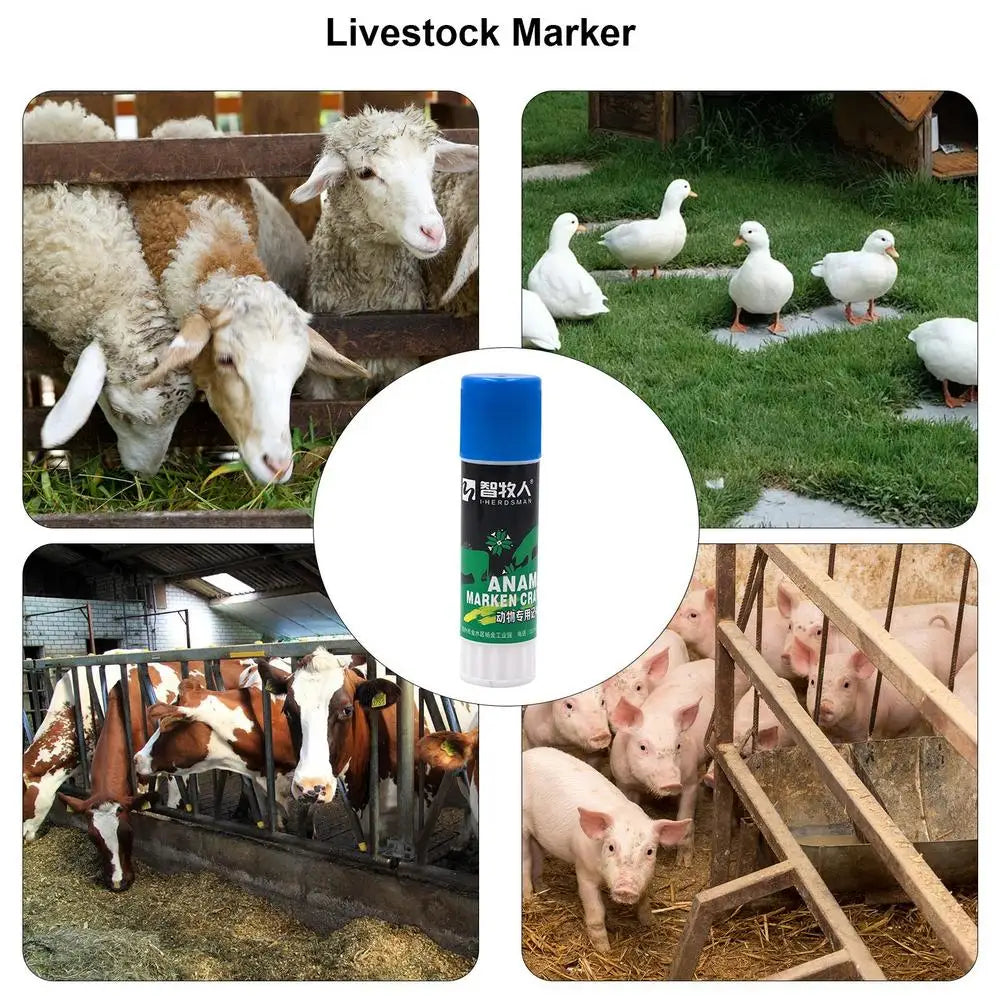Pig Marking Crayons Farm Pig Labelling Marking Livestock Crayons Livestock Breeding Crayon Animal Husbandry Markers For Horses