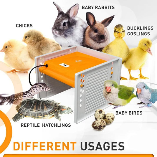 Chick Brooder Heating Plate Chicken Brooder Heater With Adjustable Height And Angle, Digital Temperature Control