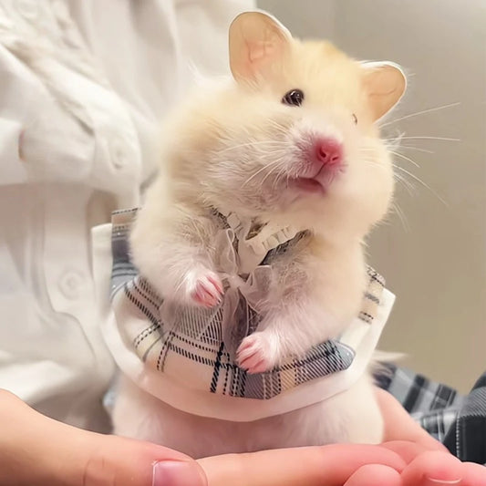 Lovely Handmade Mini Dress Princess Skirt Bow Coat for Small Pets Soft Coat for Ferrets Hamsters Guinea Pigs