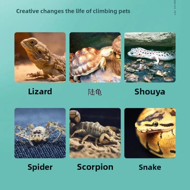 YEE Reptile Calcium Sand Substrate Kit-Premium Desert Terrarium Bedding for Bearded Dragons, Leopard Geckos, Scorpions, Snakes, Spiders & Tortoises