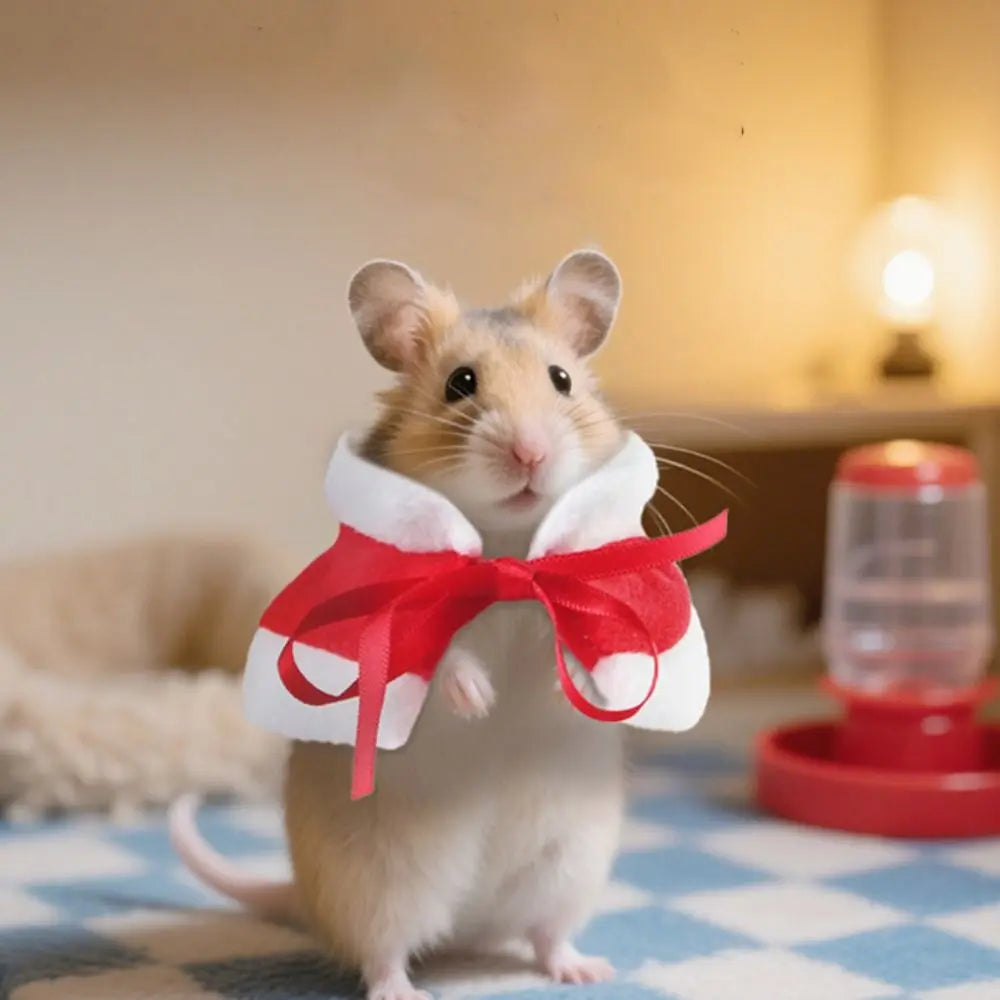 Warm Bird Cloak Festive Comfortable Pet Hamster Outfits Adjustable Windproof Parrot Outerwear for Guinea Pigs Rabbit Parrot