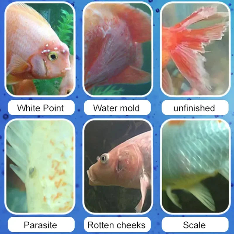 535ml Fish Tank Water Purifier Clear Nitrifying Bacteria Digestion Liquid Aquarium Fish Farming Supplies Fishbowl Water Treatment