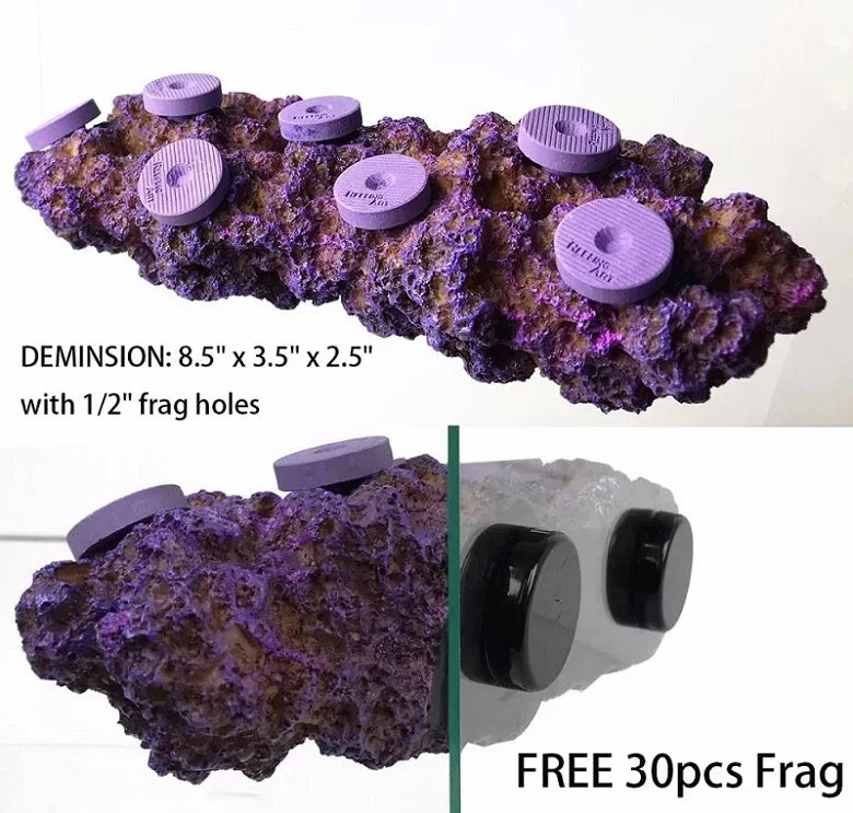 Reefing Art Aquarium Marine Fish Tank Magnetic Real Reef Frag Rack Aquarium Decoration