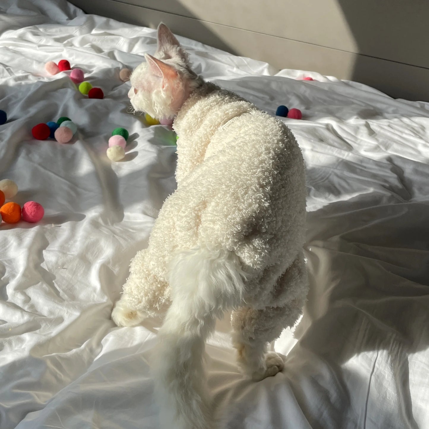 Winter Warm Plush 4-legged Sweatshirt Hat Suit for Devon Rex in Winter Soft Yellow Red Sweater for Sphynx Cat Kittens Khaki Coat