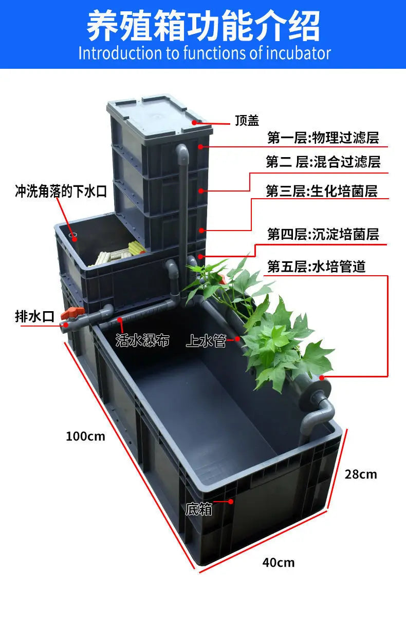 Aquatic and amphibious ecological tank, swamp fish tank, pot, turtle box, turtle tank, household feeding box