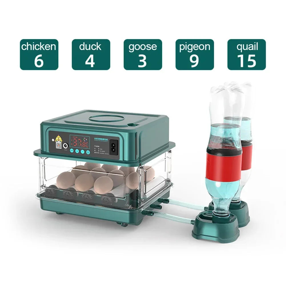 6-12 Eggs Incubator for Chicken Goose Bird Quail Automatic Incubation Equipment Hatchery Incubation Tool US Plug Dual Electric design