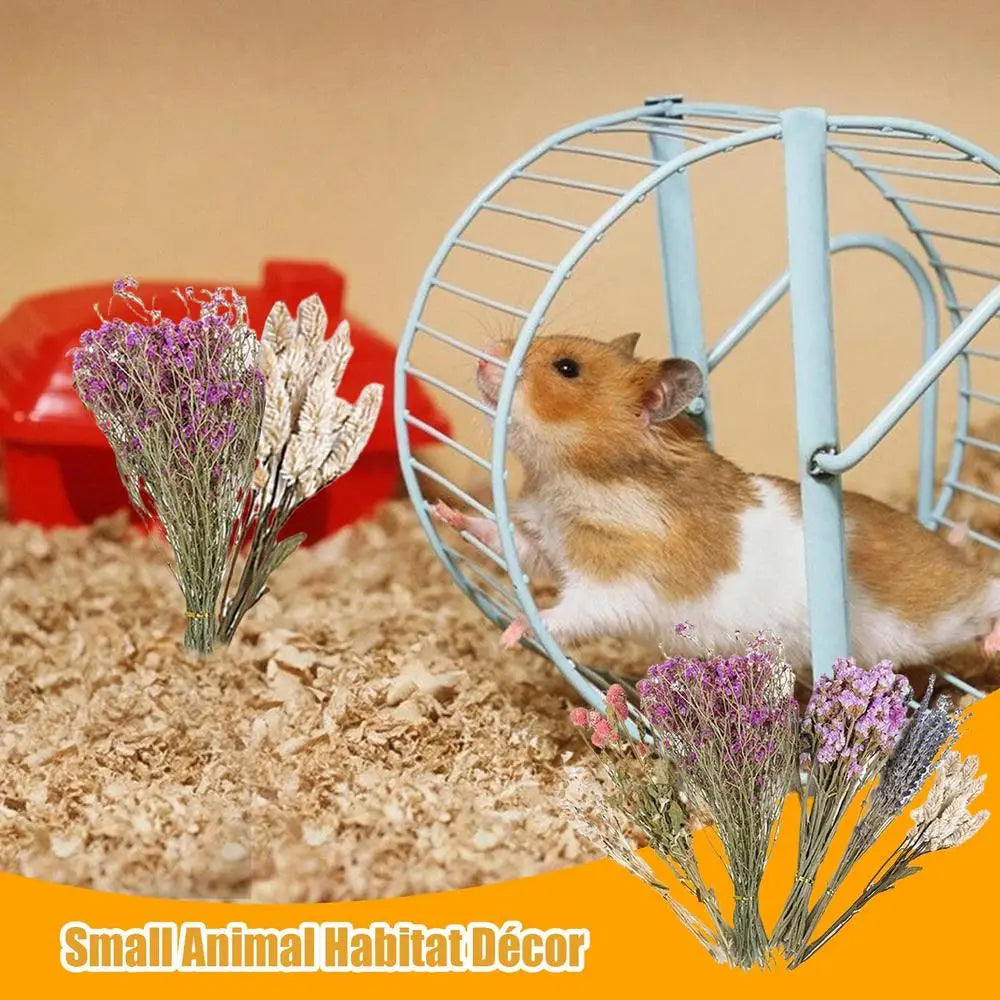 Flower Hamster Bedding Dried Flowers And Grass Hamster Cage Decoration Animal Deodorant Hamster Landscaping Supplies